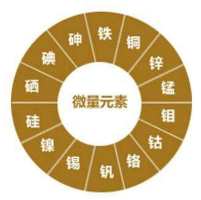 作物生長需要哪些養(yǎng)料？紅尾鳥農(nóng)業(yè)告訴你！