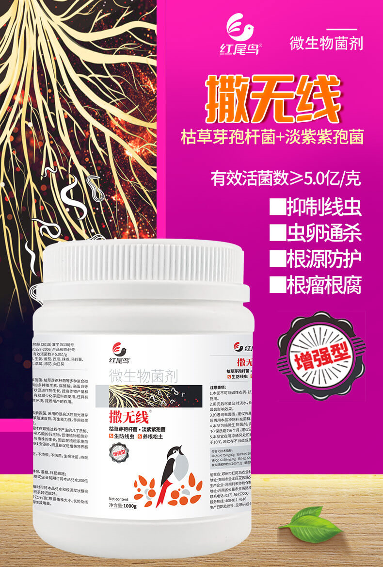 紅尾鳥撒無線微生物菌劑，有效抑制線蟲