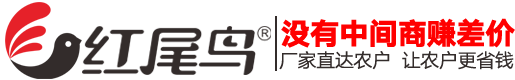 紅尾鳥(niǎo)農(nóng)業(yè)-張宜軍