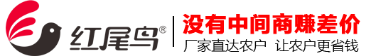 怎么預防地下害蟲的發(fā)生？紅尾鳥農(nóng)業(yè)知識分享！